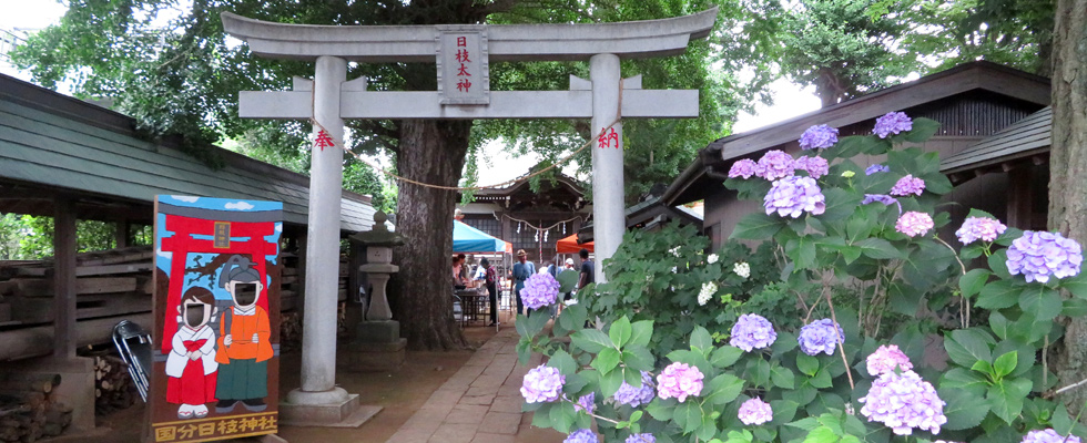 家族BBQに“おにぎり”と“おいなりさん”